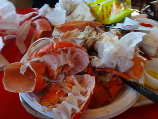 28846112351_71bb076cb9_n.jpg