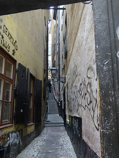 29005258605_e35aa0c905_n.jpg