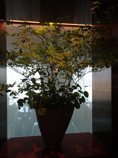 27686532877_2dbd0afa90_n.jpg