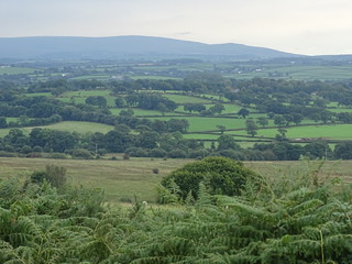 29879250951_1e8904e158_n.jpg