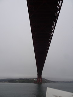 41608855854_c493bbdb7e_n.jpg