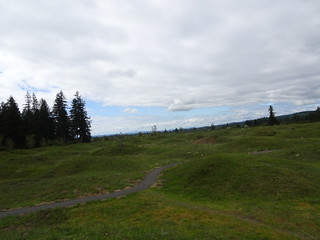 41686619684_912714e3c1_n.jpg