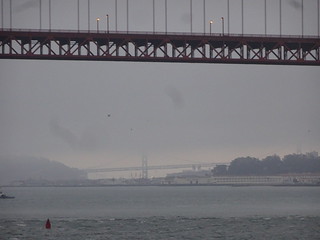 41608865384_c40ab7d4d2_n.jpg