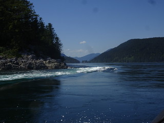 41632979565_6d3e9312c4_n.jpg