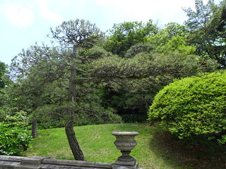 41655133455_36a151e467_n.jpg