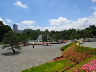 41655132235_778f008a42_n.jpg