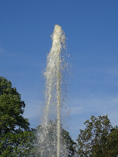 29092348262_3a799abd52_n.jpg