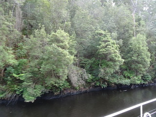 26893341358_fcfa8d659b_n.jpg