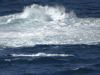 29535345401_59e96f17be_n.jpg