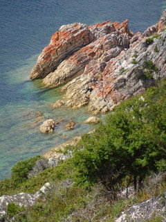 39899455344_fa6c288607_n.jpg