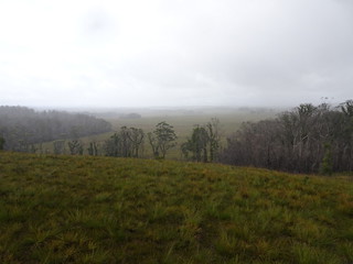 40765968761_a0a8779821_n.jpg