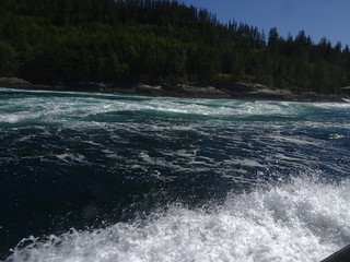 28661801408_1517cf3aa6_n.jpg