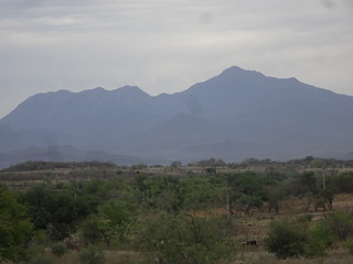 28179468608_1fd2491184_n.jpg