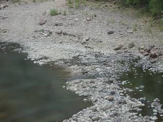 42008196002_77fa3d558f_n.jpg