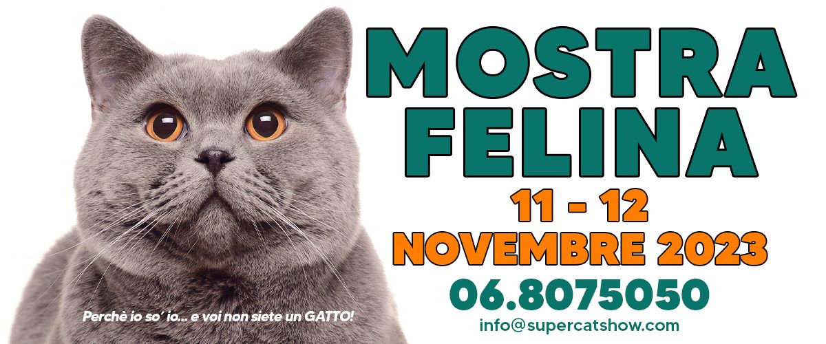 www.supercatshow.com