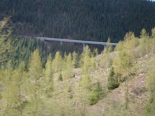 42364671291_8e3cdb9b45_n.jpg
