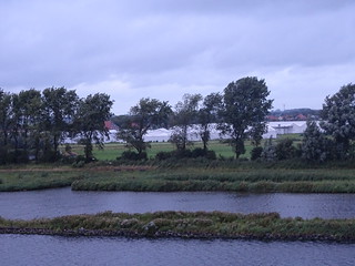 28880236324_0d4c352469_n.jpg