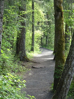 42316539492_5053c52e42_n.jpg