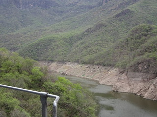 41152307095_fe872481f8_n.jpg