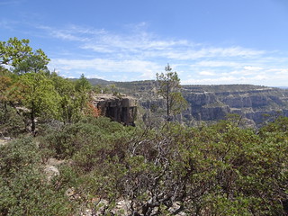 28191392298_9d6f8f0c0d_n.jpg