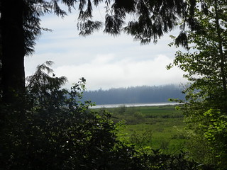 41642026574_5e2642cb0d_n.jpg