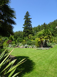 42502562232_216a8039bd_n.jpg