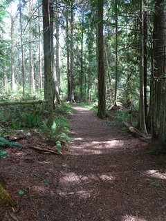 42387501251_c0aac9f9eb_n.jpg