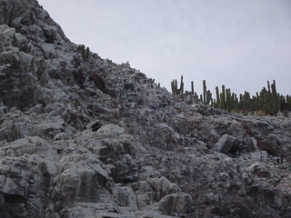 40985306574_713b197d63_n.jpg