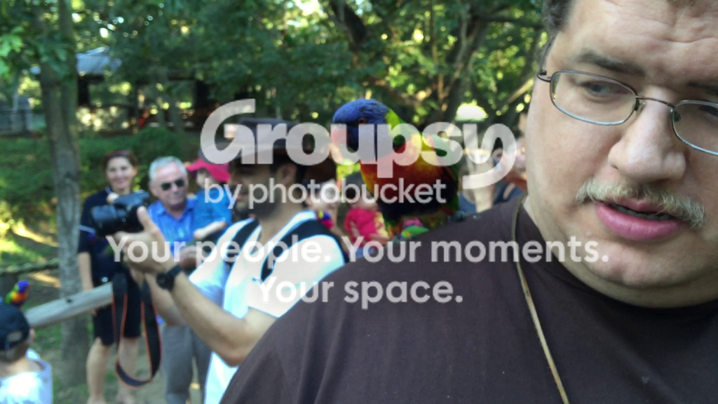 vlcsnap-2015-05-21-05h51m19s534_zpsprwwgygy.png