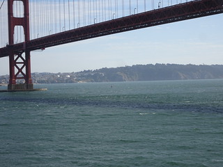 27462617917_e518156942_n.jpg