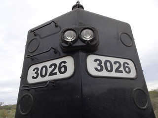 42052652141_95020de9c8_n.jpg