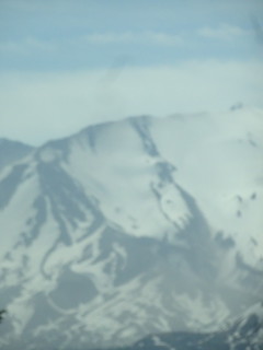 41462581405_d8512ccb5f_n.jpg