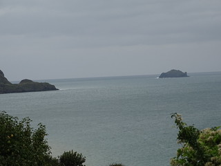 29509398351_4478cb629d_n.jpg