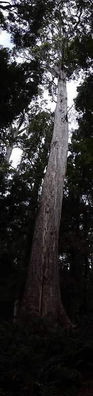 40765950731_e5ed96bc16_c.jpg