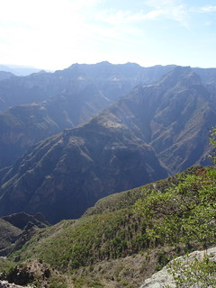 42064977201_33bd7404d7_n.jpg