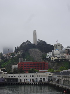 40524516500_965c0d4a69_n.jpg