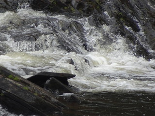 38955932150_46f275766a_n.jpg