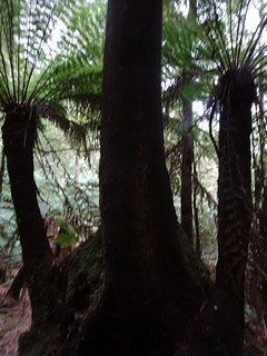 40053930094_467ef5bf26_n.jpg