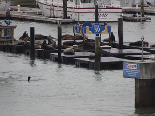 42331210411_033ea046fa_n.jpg
