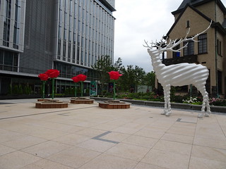41655082355_4f00858bc6_n.jpg