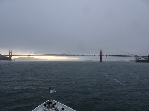 41608867544_3292ab6620.jpg