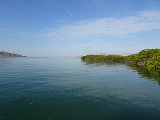 28178908318_8e19c313d0_n.jpg