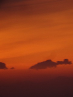 41834391554_d48bd77d5f_n.jpg