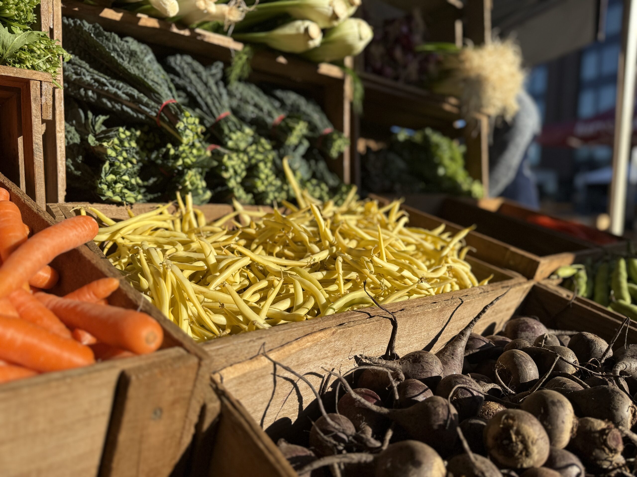 harvestmarket.org.au