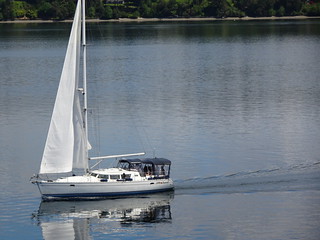 41507575315_658c54396f_n.jpg