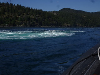 41812350484_d1cec25f69_n.jpg