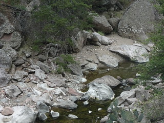 42008088782_24bc6a5e8f_n.jpg