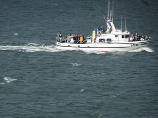 28459235018_ca5c320f62_n.jpg