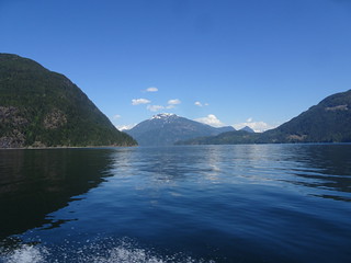 41632978725_e72207b1c0_n.jpg