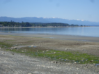 42483294732_1aac5d903e_n.jpg